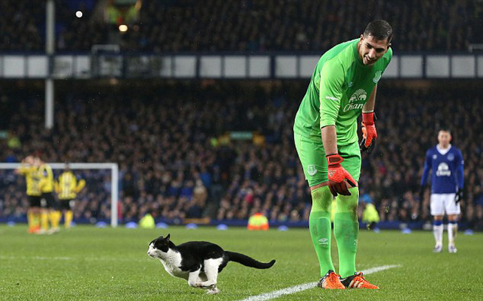 میهمان ناخوانده جام حذفی انگلیس/عکس