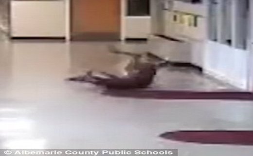 آهوی دردسر ساز در مدرسه+ تصاویر