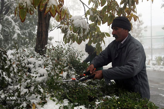 عکس: بارش برف در ارتفاعات تهران