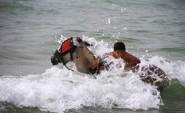تصاویر : افزایش دما و پناه بردن مردم غزه و رام الله به دریا