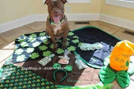 نجات از مرگ حتمی