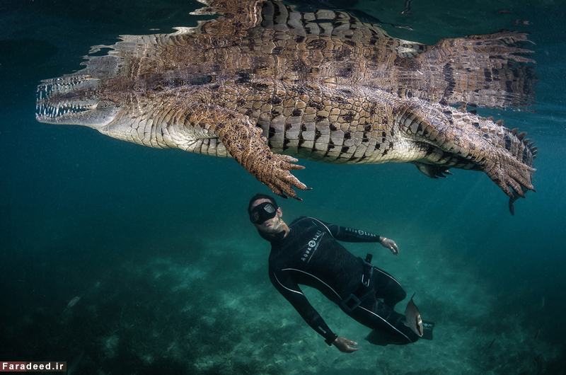 (تصاویر) مسابقه عکاسی نشنال جئوگرافیک