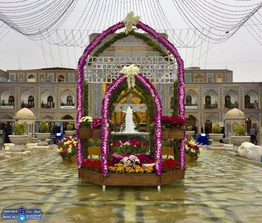 تصویر روز/ کس با دلم از عشق تو، محرم‌تر نیست