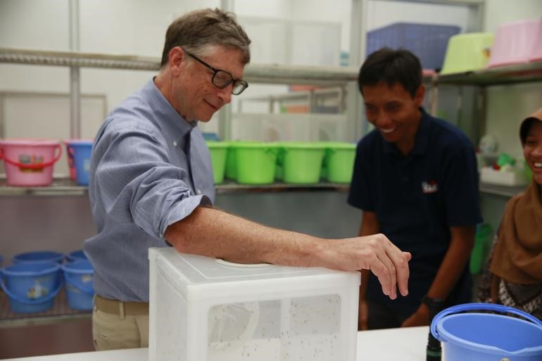 بیل‌گیتس خون خود را به حشرات داد!/عکس