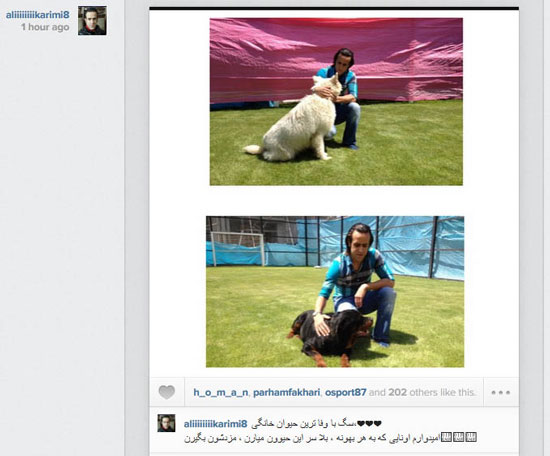 عکس: علی کریمی و باوفاترین حیوان خانگی