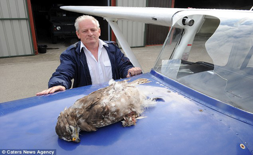 هواپیمایی که در آسمان تصادف می کند (+عکس)