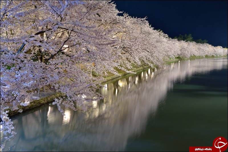 بهشت زیر پوستی در ژاپن+ تصاویر