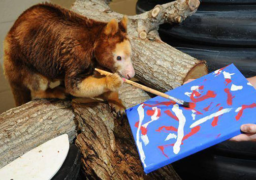 حیوانات یک باغ‌وحش در نیوزیلند کار می‌کنند و هزینه نگهداری خود را تأمین می‌کنند!