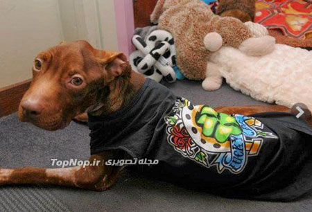 نجات از مرگ حتمی