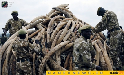 نسل کشی وحشیانه فیلم ها در کنیا