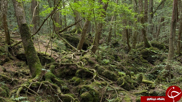 مکان هایی در آن ارواح قدم می زنند +تصاویر