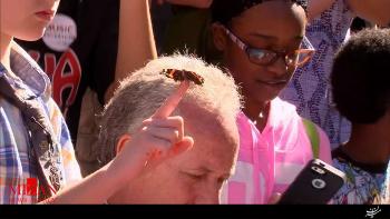 صف طولانی برای خرید بلیط مراسم تشیع جنازه و یادبود محمد علی کلی