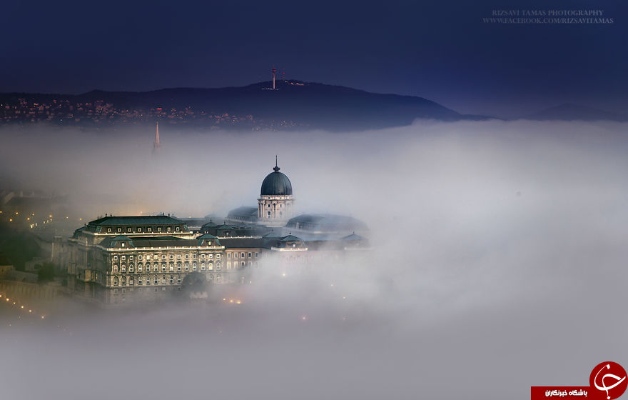 عکاسی که برای ثبت این تصاویر جانش را به خطر انداخت + تصاویر