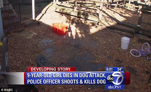 حمله مرگبار سگ وحشی به دختر 9 ساله+ تصاویر