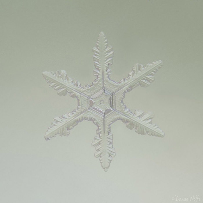 عکس ماکرو از دانه‌ی برف