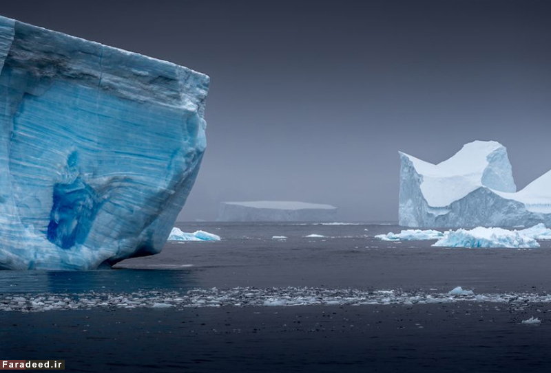 (تصاویر) مسابقه عکاسی نشنال جئوگرافیک