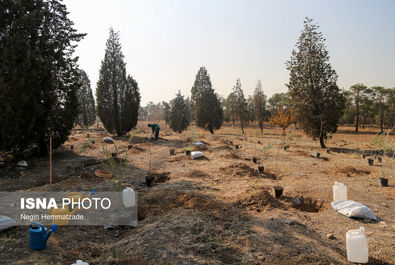 62825001_Negin-Hemmatzadeh-46