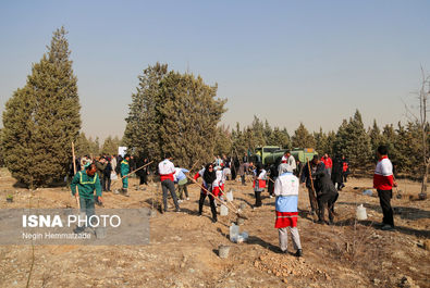 62824996_Negin-Hemmatzadeh-50