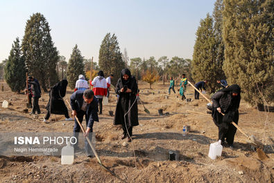 62824997_Negin-Hemmatzadeh-49